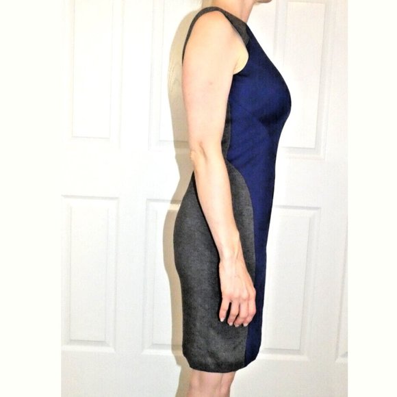 Dress Blue Gray Fitted Sheath ColorBlock Office Holiday Party WHBM Size 00 - Picture 5 of 12